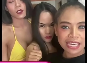 HelloLadyBoy Big Tit Copulation Fiend Ladyboys Fuck