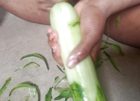 Wrap up CUCUMBER in My DARK pussy . Alluring A Huge Cucumber in my pussy .  Fucking with cucumber . Painful copulation video.