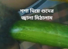 Bangladeshi sexy generalized cucumber hard masturbate.