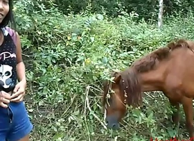 HD cumswap next beside horse nearly grid-work